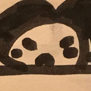 Meet your Posher, Ellie